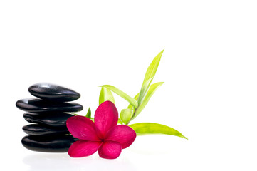Obraz na płótnie Canvas Black balanced zen stones with bamboo and white plumeria flower