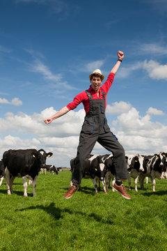 Happy farmer in field with cows