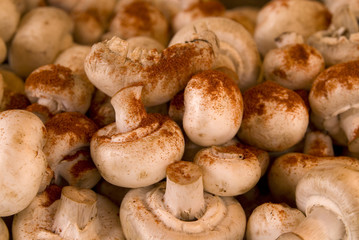 Champignons mit Curry