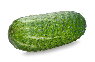 Cucumber