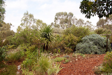 mulched paths in wild garden