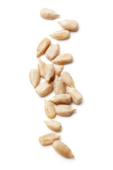 Sunflower Seeds