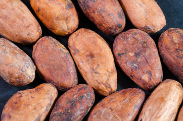 Fave di Cacao - (Theobroma cacao)