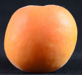 Albicocca (Prunus armeniaca)