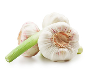 garlics isolated