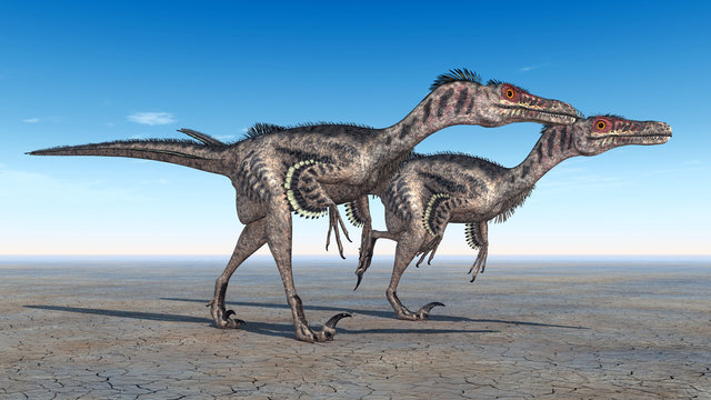 Velociraptoren