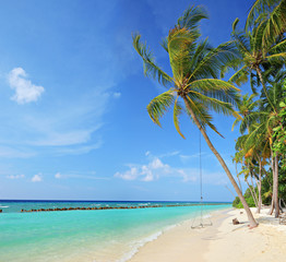 Obraz premium Beach scene with a swing on a palm tree
