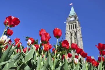 Foto op Canvas Tulip Festival in Ottawa © Helen Filatova