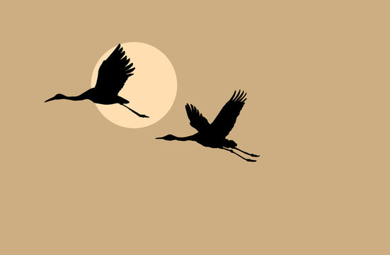 crane silhouette on solar background