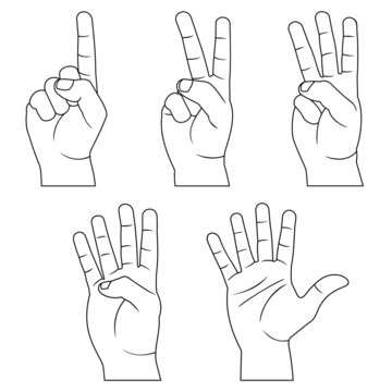 five hands
