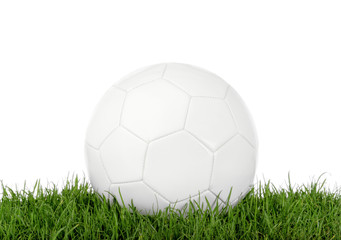 fußball im gras © Max Diesel