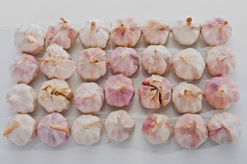 top view of garlic in studio