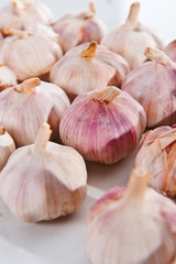 close up of garlic in studio