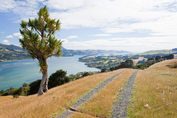 Fototapeta na wymiar Otago półwysep krajobraz wybrzeża, Dunedin, NZ
