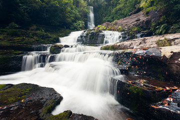 McLean Falls in The Catlins region of New Zealand