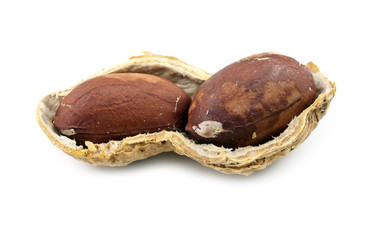 open peanut isolated