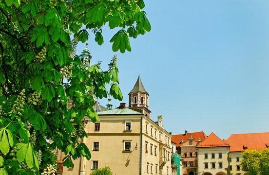 Wawel castle.