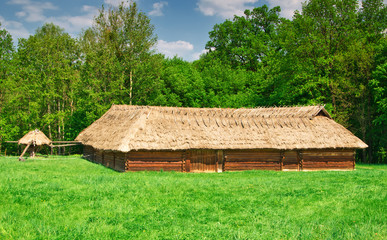 Fototapeta na wymiar ukrainian old log hut