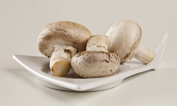 Three champignons