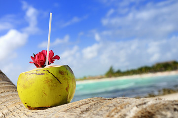 coconuts on the beach