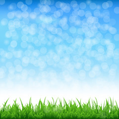 Landscape With Grass And Bokeh