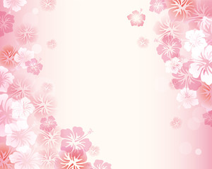 Fototapeta na wymiar hibiscuses background