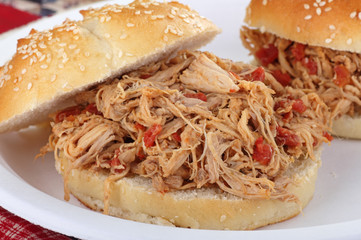 Pulled Pork Sandwich Closeup