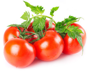 Fresh tomato