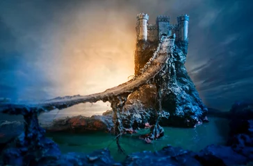 Wall murals Dragons Ñastle