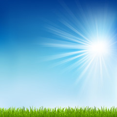 Fototapeta na wymiar Zielona trawa i Sun Beam