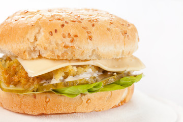 cheeseburger on the plate