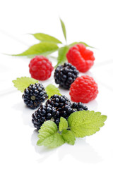 Berry fruits