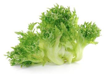 lettuce on white background