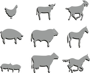 Collage Nutztiere Bauernhof Viehzucht Huhn Pferd Schwein Kuh Sti