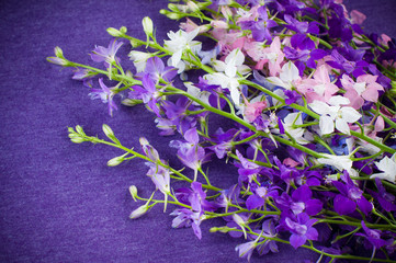 Background with purple flowers