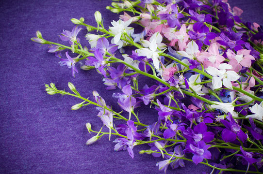 Fototapeta Background with purple flowers