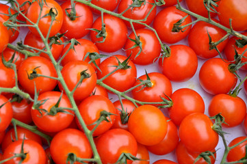 Tomaten