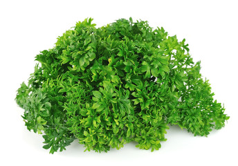 curly parsley