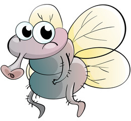 Fly cartoon