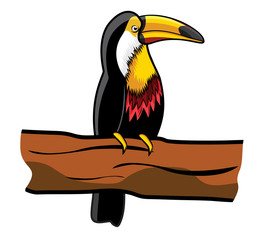 Beautiful toucan on branch © branchecarica