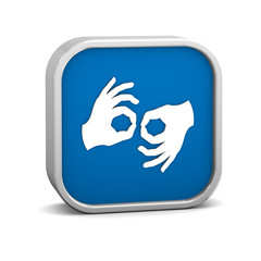 Sign language sign