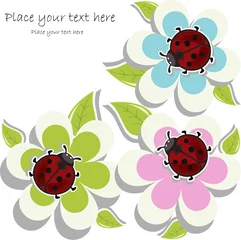 Foto op Plexiglas Mooie kaart met lieveheersbeestjes op bloemen © ykononova