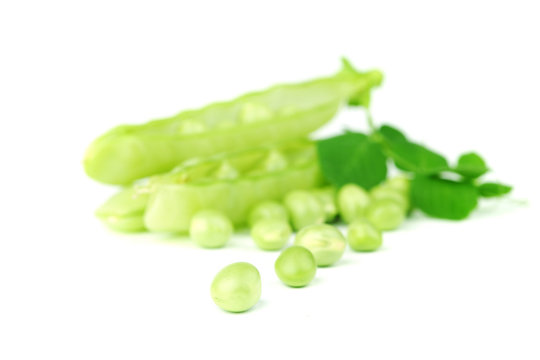 Pea isolated on white