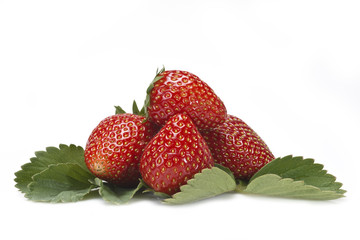 Fresas con sus hojas.