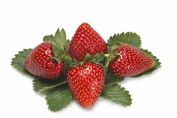Fresas con hojas.