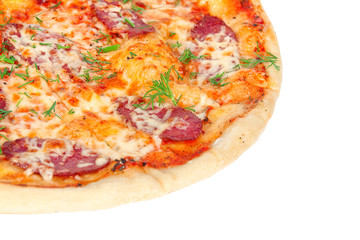 tasty pizza with salami and cheese