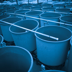 winter aquaculture hothouse