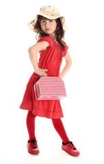 The young woman of fashion with a red small suitcase