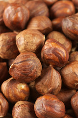 Hazelnuts close-up