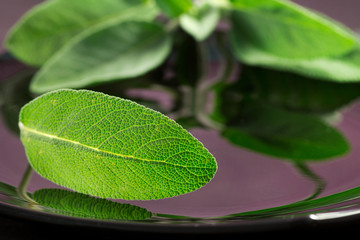 sage leaves